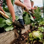 Video: Check out the garden