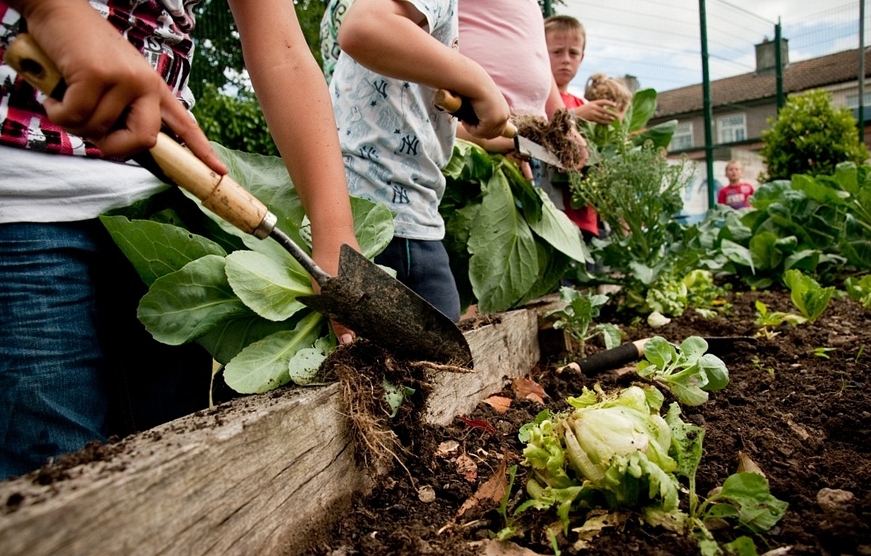 Armidale Community Garden