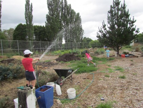 community garden