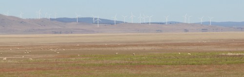 Capital wind farm 1