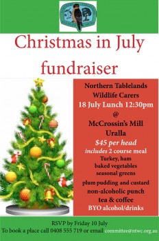 Christmas-in-July-Flyer[1]