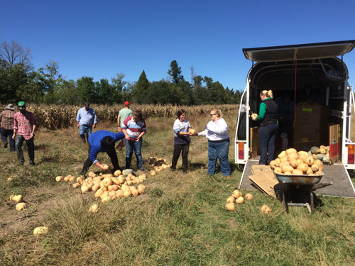 loading-pumpkins-2015