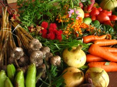 Ecologically_grown_vegetables-1