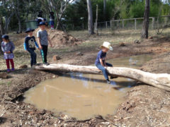 Log and mud puddle