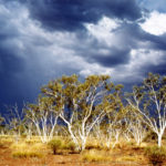 Thunderstorm in Australian Outback by Reto Fetz CC BY-NC-SA 2.0