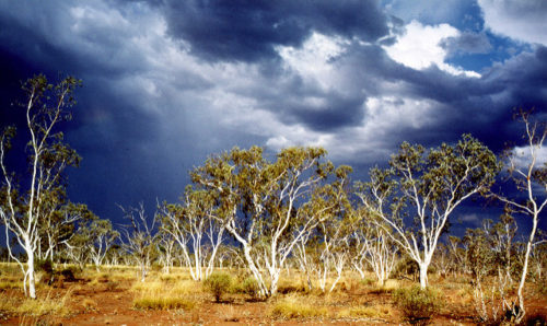 Thunderstorm in Australian Outback by Reto Fetz CC BY-NC-SA 2.0