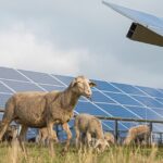 Webinar: Renewables and Rural Australia — Community Experiences in NSW