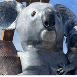 Can you help? The Giant Koala Community Art project at the Autumn Festival and Parade