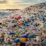 Petition to Combat Plastic Pollution reaches 500 signatures