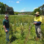 RiverCare Working Bee