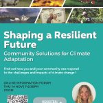 Zoom: Shaping a Resilient Future