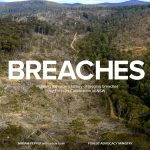 ‘Breaches’ profiles illegal forestry operations since Black Summer