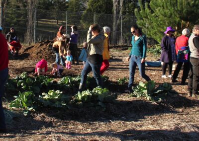 Armidale Community Garden